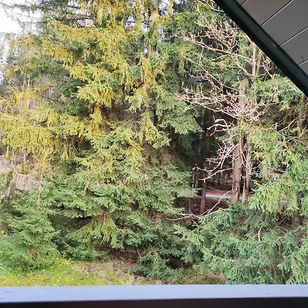 Apartman Resident C306 Apartman 2kk S Kuchyni, Balkonem A Vyhledem Do Lesa Апартаменты Гаррахов